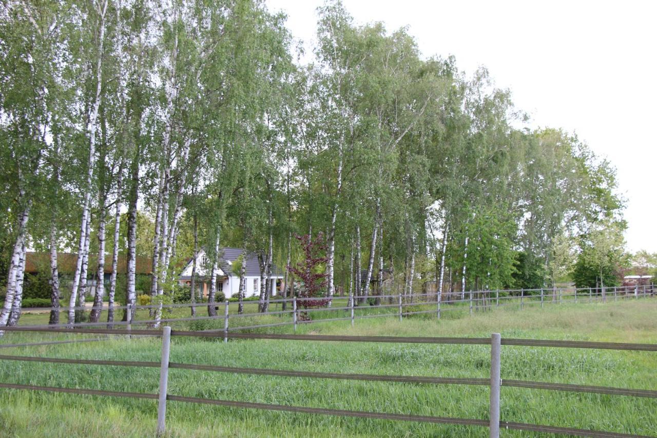B&B Het Mooie Uitzicht Reuver Exterior foto