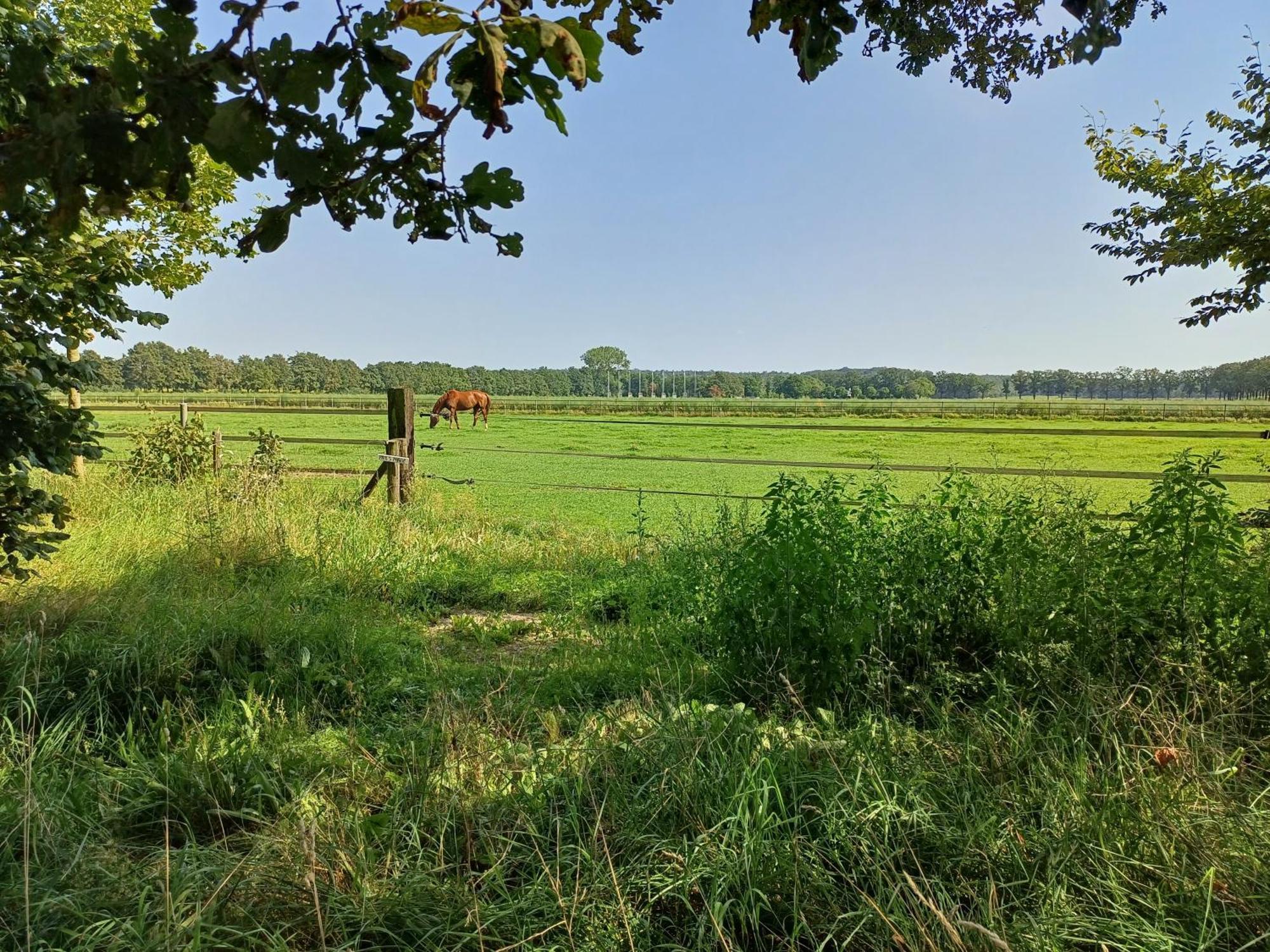 B&B Het Mooie Uitzicht Reuver Exterior foto